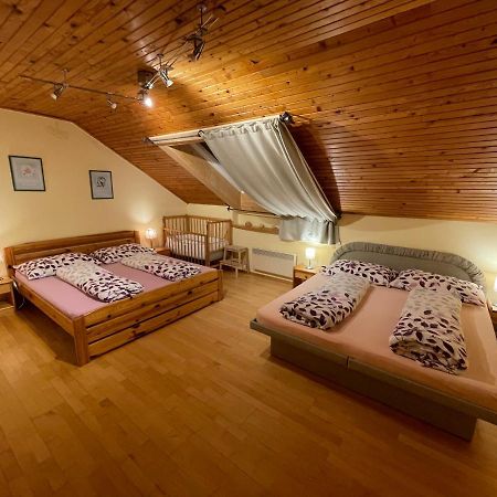 Ubytovani Duskovi Villa Lipno nad Vltavou Kültér fotó