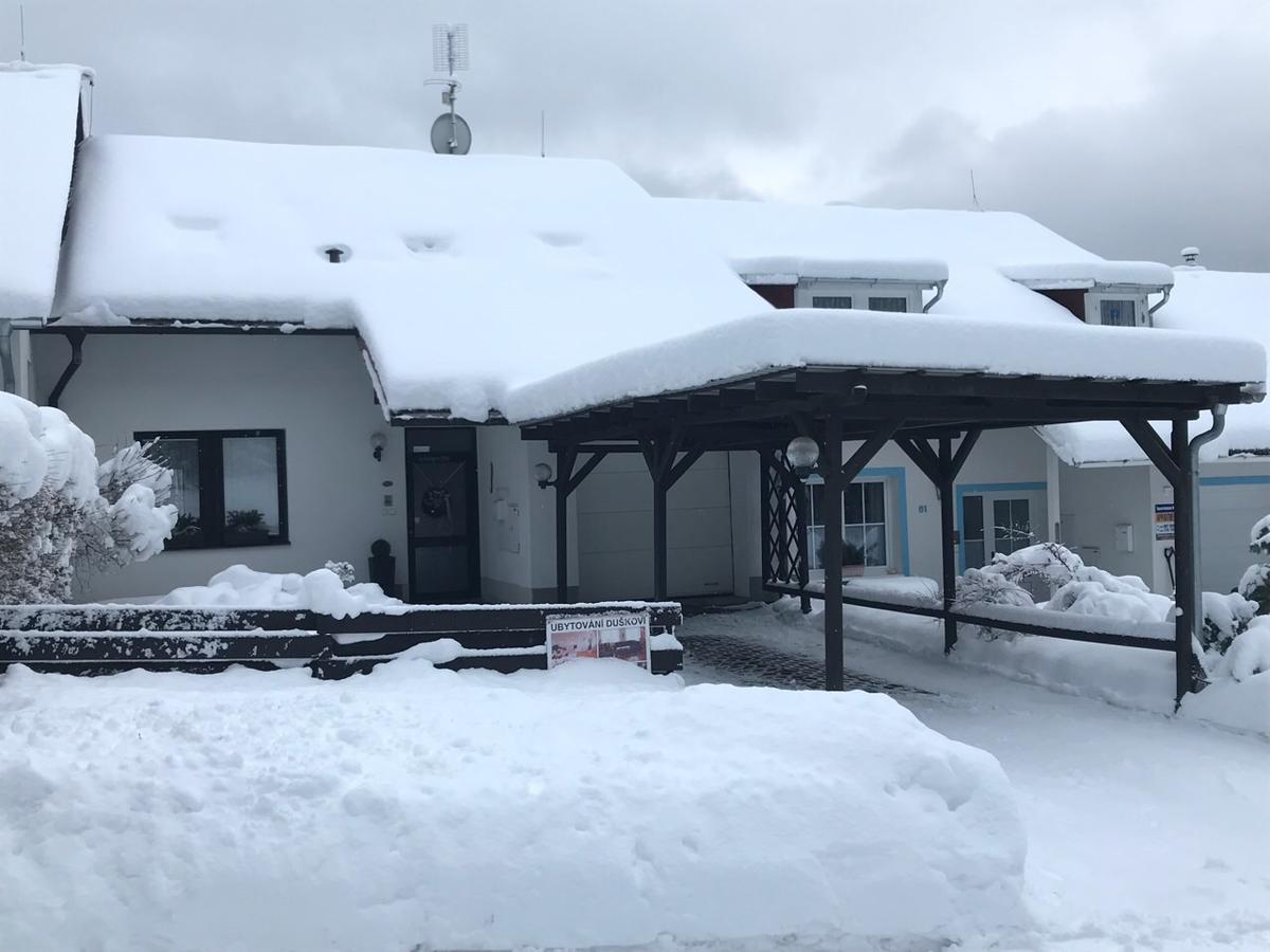 Ubytovani Duskovi Villa Lipno nad Vltavou Kültér fotó